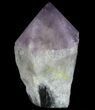 Huge, Amethyst Crystal Point - Brazil #64863-1